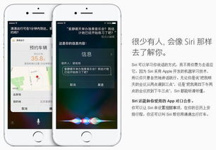 就叫它一天全解锁最新版2024下载-就叫它一天下载手机版2024正版更新版v.8.60
